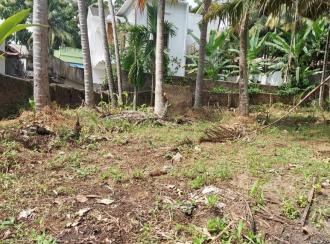 A & F Associates Realtors